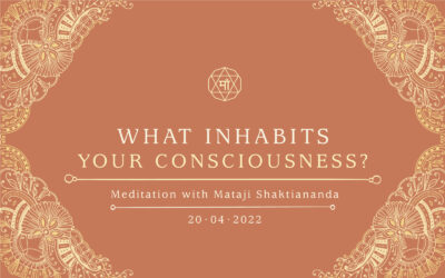 What Inhabits Your Consciousness?