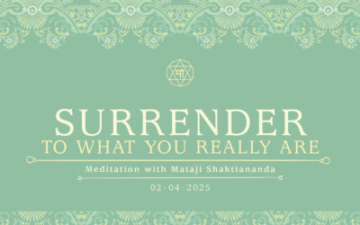 Surrender to What You Really Are